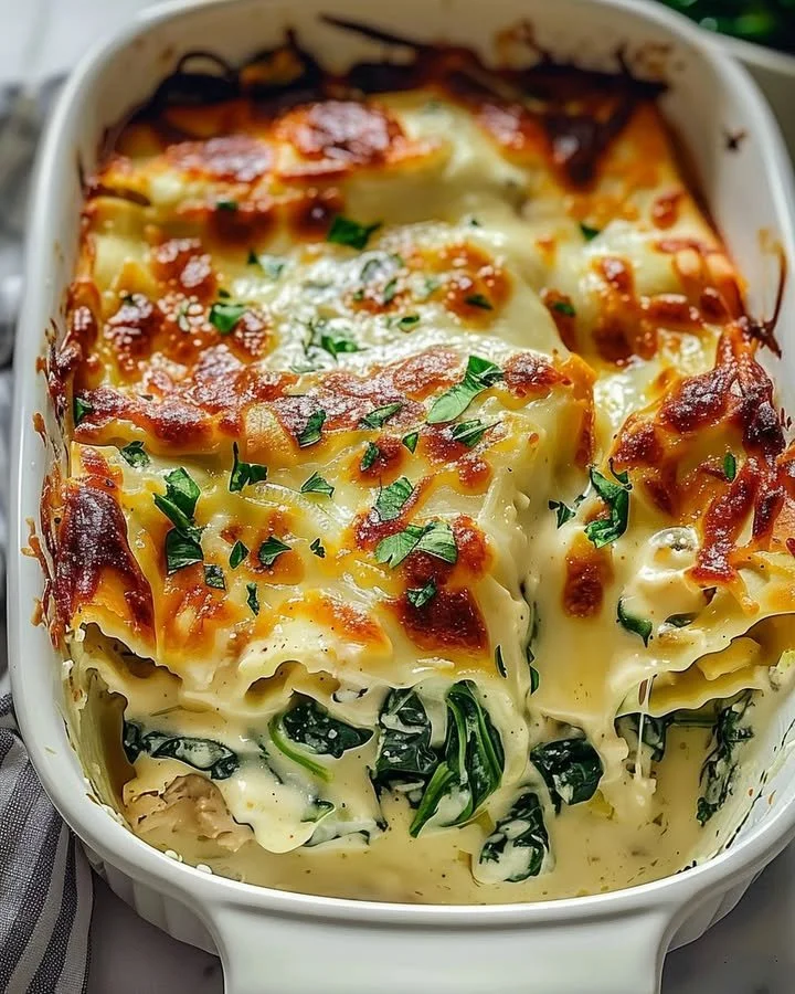 Creamy chicken and spinach casserole with cheese baked to perfection